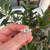 Entwine Still Trilogy Round  in Textured 9ct Yellow Gold