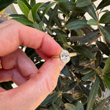 Solitaire Entwine Still - Textured Oval Diamond Ring in 9ct Yellow Gold